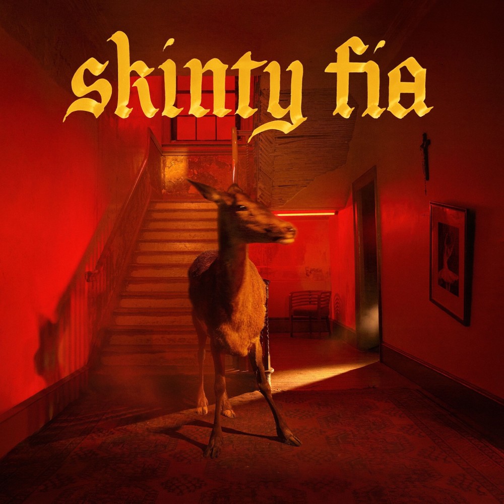 Fontaines DC Skinty Fia